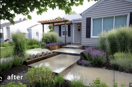 5 Essential Tips for Maintaining St. Augustine Grass in Tampa Bay